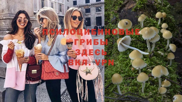 mix Болотное