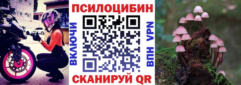 даркнет какой сайт  купить   Елабуга  Галлюциногенные грибы Cubensis 